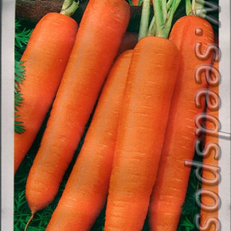 Морковь Нантская 4, 2 г 
